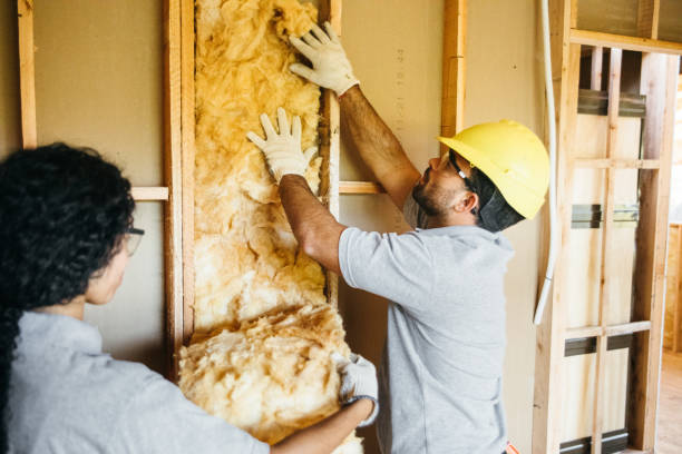 Best Blown-In Insulation  in Atoka, NM